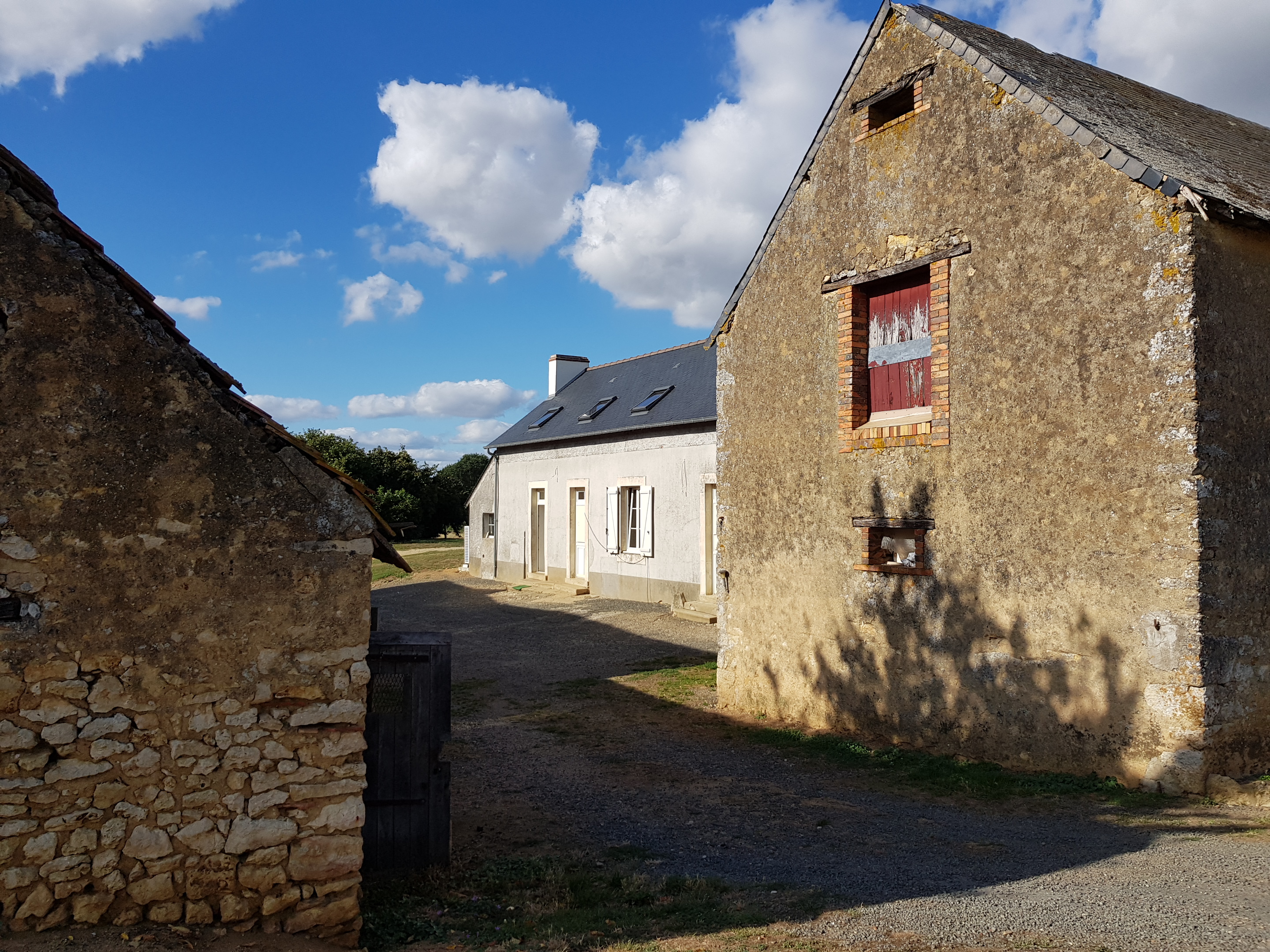 Vente Secteur De Noyen Sur Sarthe